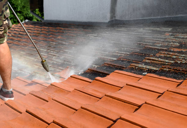 Best Pressure Washing Estimates  in , MN