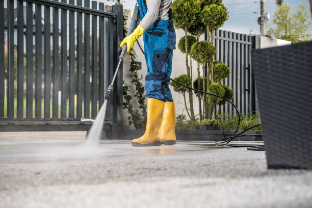 Best Concrete Pressure Washing  in , MN
