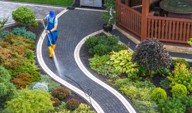 Best Sidewalk Pressure Washing  in , MN