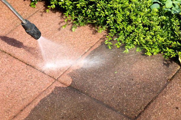 Best Pressure Washing Company Near Me  in , MN